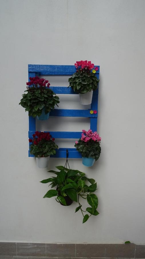Apartamento Il Giardino Segreto Palermo Exterior foto